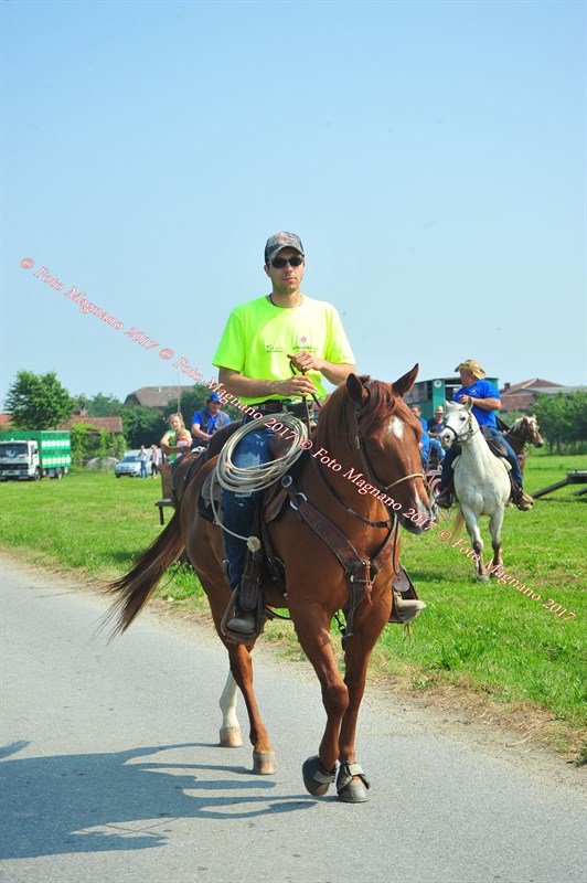 DSC_0774.JPG